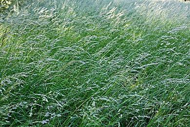 迎接2021东京电玩展 《怪物猎人：崛起》首次打折促销